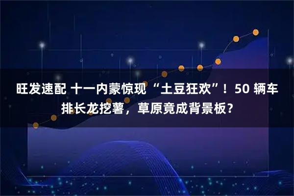 旺发速配 十一内蒙惊现 “土豆狂欢”！50 辆车排长龙挖薯，草原竟成背景板？